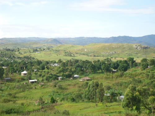 Perturbation du calme à Ituri: 8 pertes de vie suite aux raids attribués aux ADF à Irumu et Mambasa.