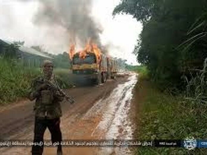 Est de la RDC: Offensive des Forces Ougandaises contre les Combattants de l'ADF