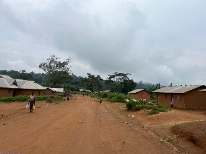 Tensions en Ituri : les combattants Wazalendo sèment le doute
