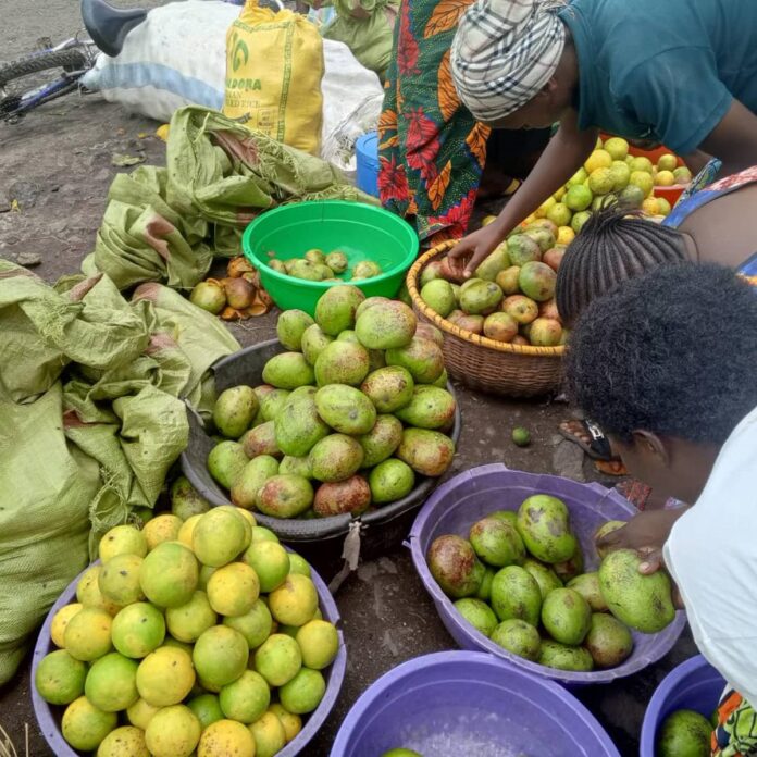Crise économique et alimentaire à Goma : les marchés dominés par les produits étrangers