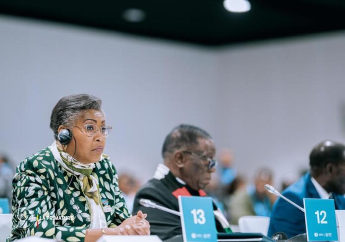 COP29 : La RDC revendique la valorisation de son capital naturel