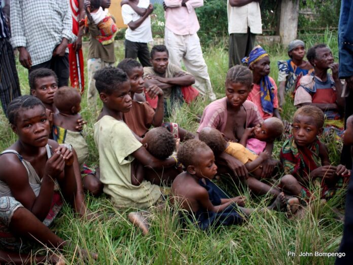 Peuples autochtones pygmées : La RDC lance la pré-vulgarisation d'une loi cruciale