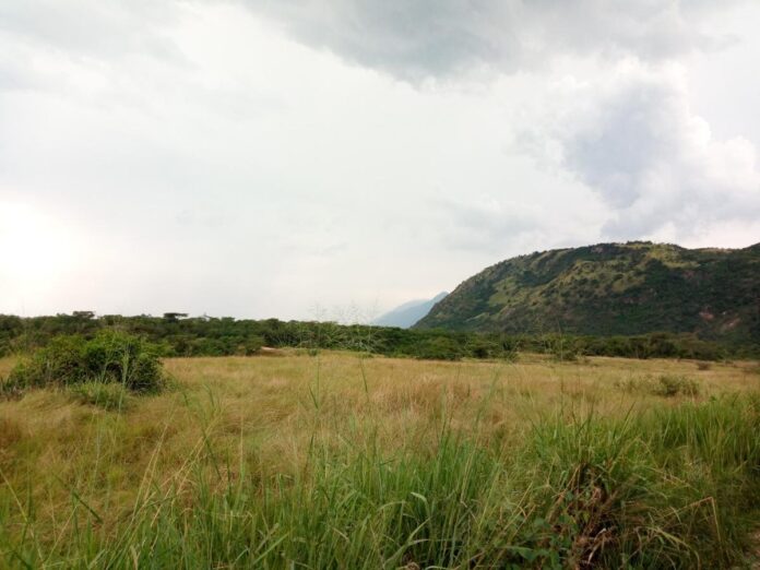 Sauvegarde urgente du Parc des Virunga : les ONG interpellent le gouverneur militaire du Nord-Kivu