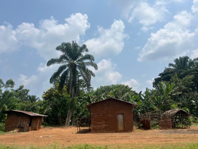 Nord-Kivu : L'horreur reprend à Loselose avec une attaque ADF sanglante