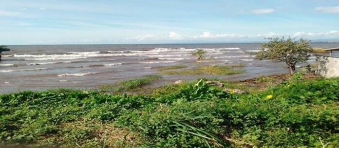 Lac Tanganyika : Une femme hapée par un crocodile à Katale