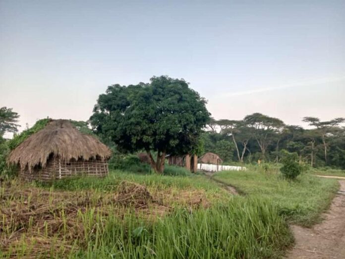 Violents affrontements à Luhotu : deux morts et quatre blessés secouent le territoire de Beni