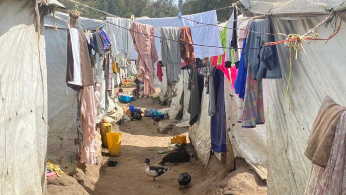 Nord-Kivu : les déplacés de Lubero face à l'urgence humanitaire