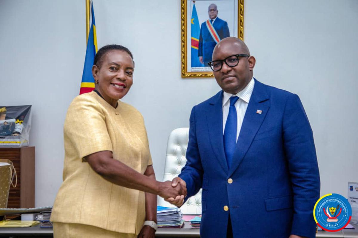 Tensions dans l'Est de la RDC : une visite diplomatique de la Zambie pour apaiser les conflits