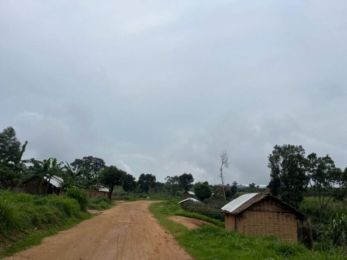 Ituri : Carnage des présumés ADF, douze civils massacrés en forêt