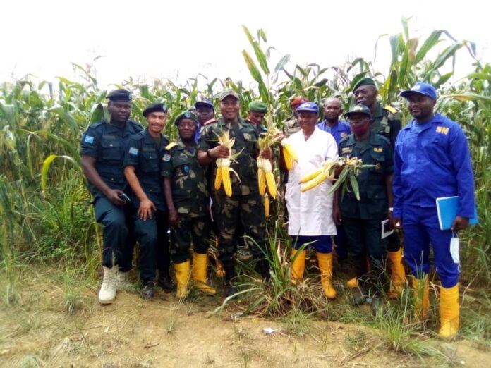 Lovo: Vers un centre agricole et économique majeur au Kongo-Central ?