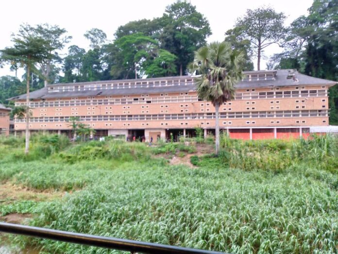 Yangambi : La FAO révolutionne l'agriculture avec de nouvelles unités de transformation