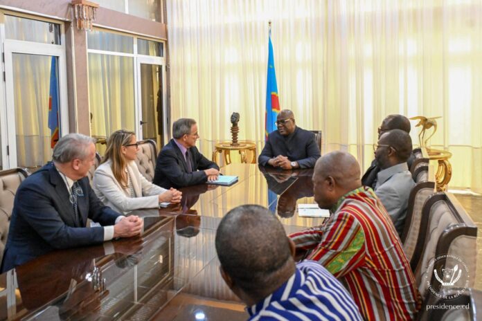 Crise à l'Est de la RDC : Félix Tshisekedi reçoit une délégation de députés européens