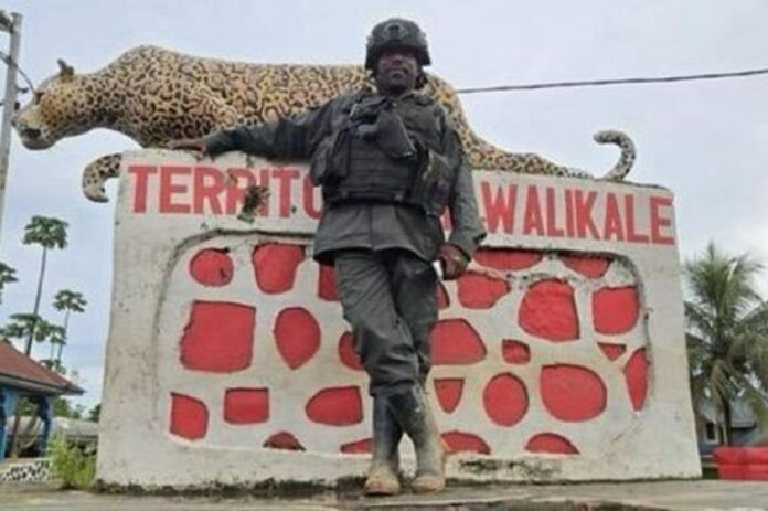 Walikale sous contrôle du M23 : avancée stratégique et crise humanitaire au Nord-Kivu