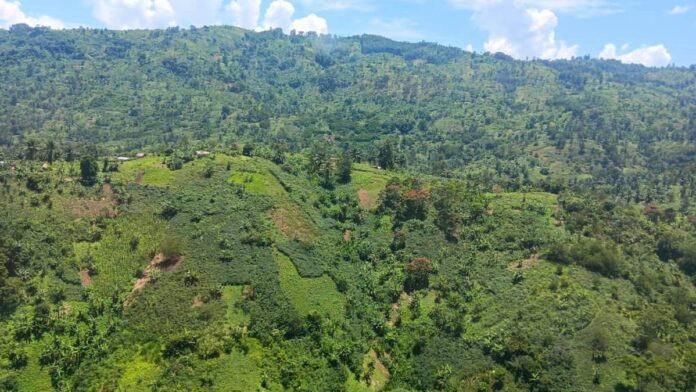 Onze civils tués à Ngohi : nouvelle attaque meurtrière des ADF près de Butembo