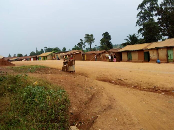 Ituri : Une douzaine de civils massacrés par les ADF en deux semaines, les opérations « Shujaa » dans le collimateur
