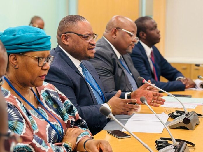 La RDC face au défi de la rigueur budgétaire : Les dessous de l'optimisme affiché à Washington par Doudou Fwamba