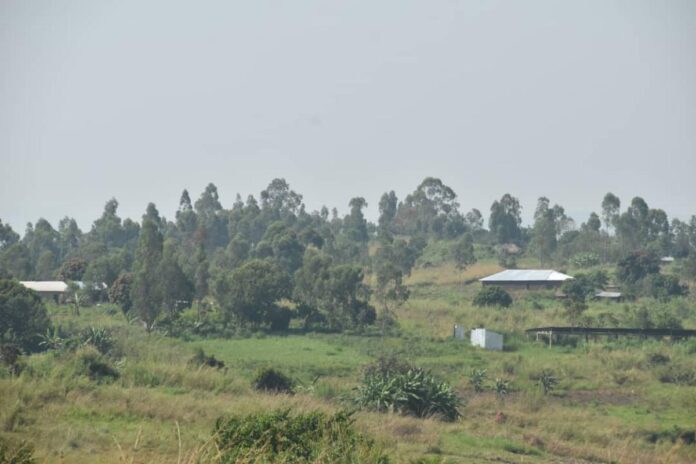 Ituri sous le choc : 8 morts dont 3 décapités dans une attaque sanglante des ADF