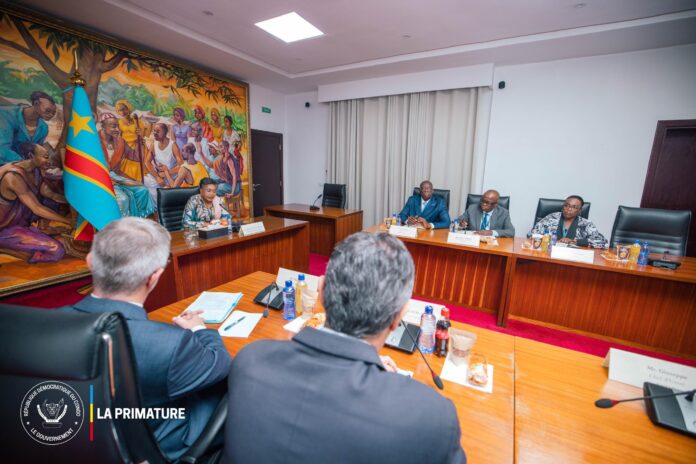 Crise dans l'Est : l'UE débloque 100 millions d'euros pour sauver le Congo ?