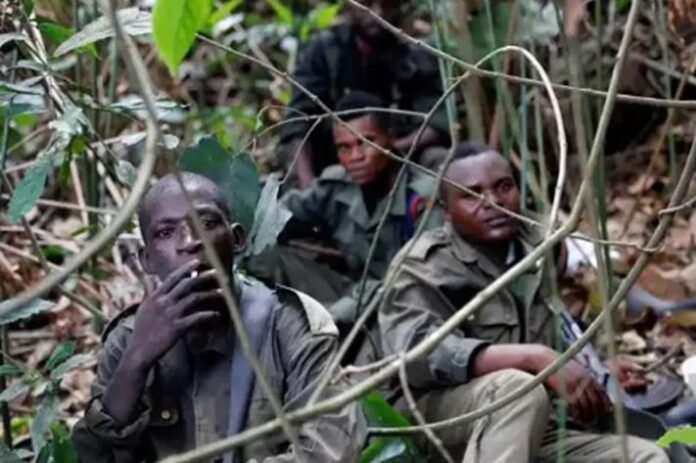 ADF Lubero 2025 : 24 civils massacrés en 24 heures dans le Nord-Kivu