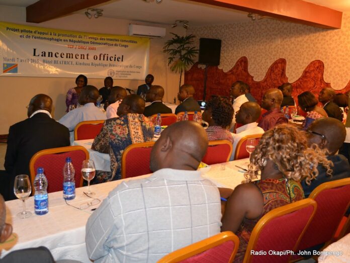 Santé animale en RDC : 500 vétérinaires réclament une action urgente contre les zoonoses