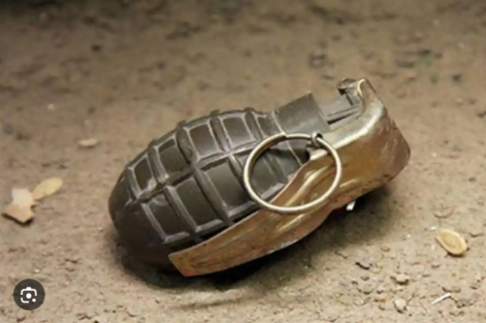 Beni sous choc : une grenade des FARDC tue deux civils à Oïcha