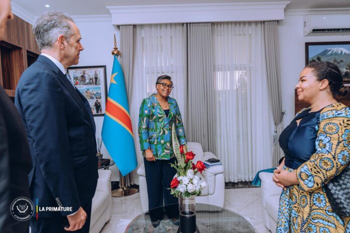 L'Union européenne en RDC : Soutien diplomatique ou nouvelle illusion de paix à l'Est ?