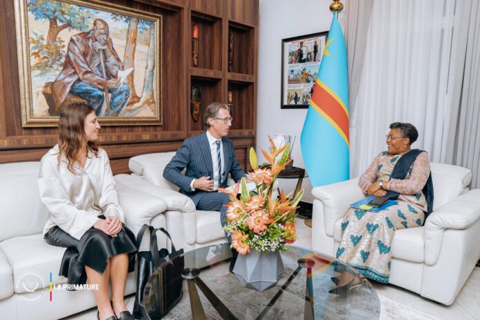 RDC-Suède : Un partenariat stratégique se noue autour de la crise de l'Est et des investissements miniers