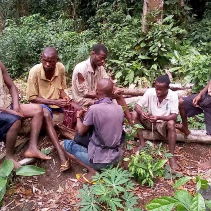 COP30 RDC : Les gardiens des forêts congolaises tenus à l'écart des préparatifs climatiques