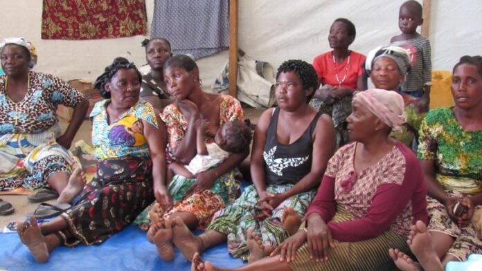 Malnutrition chronique en Ituri : un enfant sur deux touché par le retard de croissance