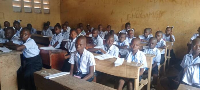 Concours scolaire à Kinshasa-Plateau : 100 lauréats primés grâce à l'UNICEF et KOICA
