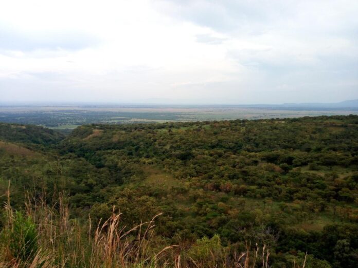 Virunga : 27 agriculteurs libérés à Beni, mais la crise des frontières explose au Nord-Kivu