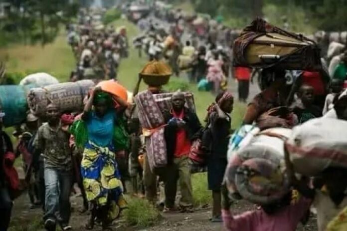 RDC: crise humanitaire catastrophique, 5,9 millions de déplacés face à la faim