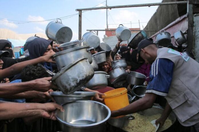 Famine à Gaza : l'ONU déclare l'état d'urgence alimentaire historique