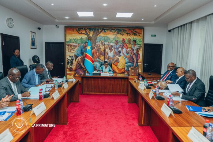 ZES RDC : 7 nouvelles zones économiques spéciales pour booster l'emploi