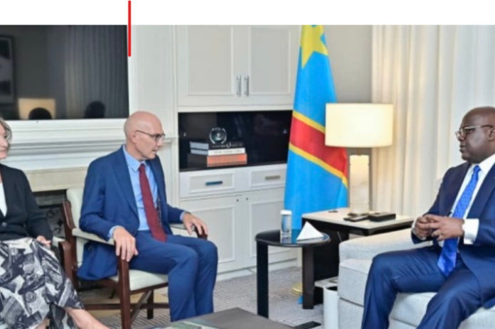RDC : l'ONU confirme une commission d'enquête sur les génocides à l'Est