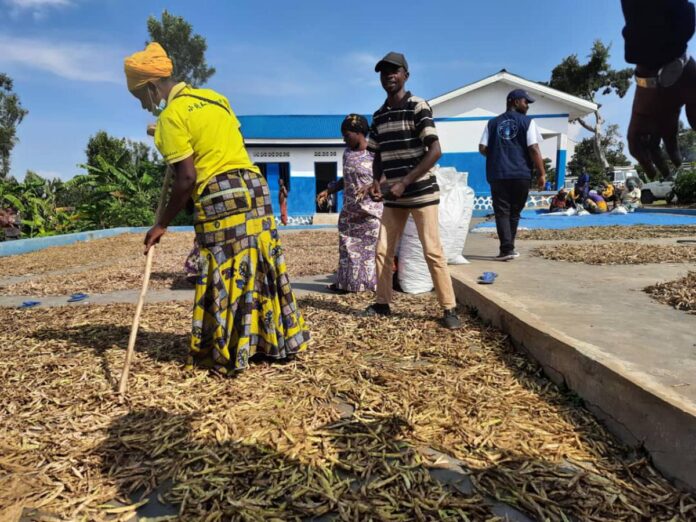 Formation agricole en RDC : la FAO mise sur les jeunes et femmes pour relancer l'économie