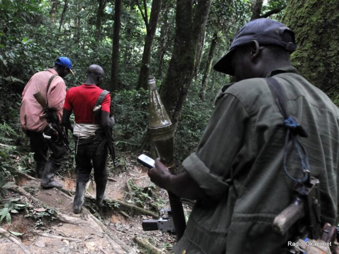 FDLR : Les FARDC menacent un désarmement forcé dans l'Est de la RDC