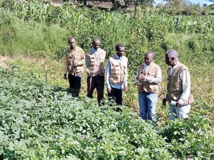 Maniema : la relance agricole passe par l'encadrement des ingénieurs agronomes