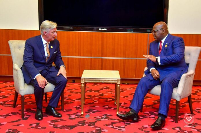 Couloir vert Kivu-Kinshasa : le Roi des Belges s'engage personnellement