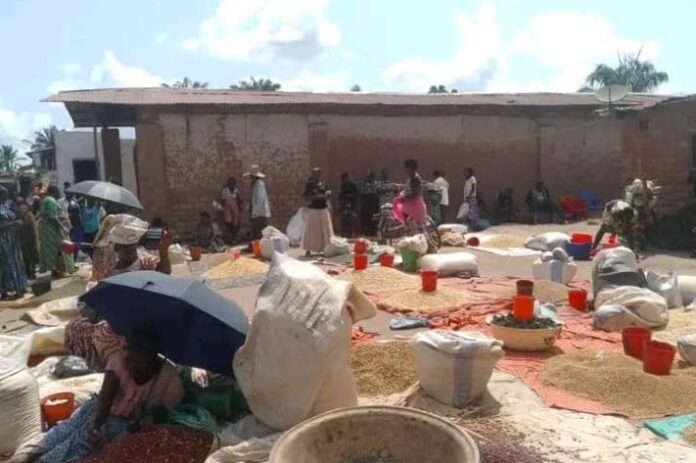 Flambée des prix du maïs à Kananga et Mwene-Ditu : La voie ferrée menacée par l'érosion
