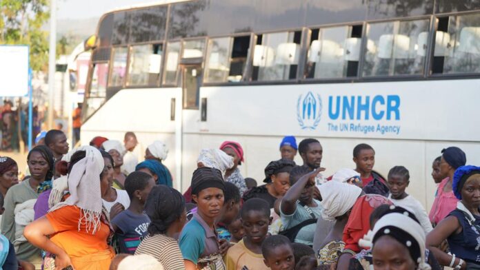 Crise humanitaire en RDC : 5 millions de réfugiés et 14 millions de déplacés dans l'oubli