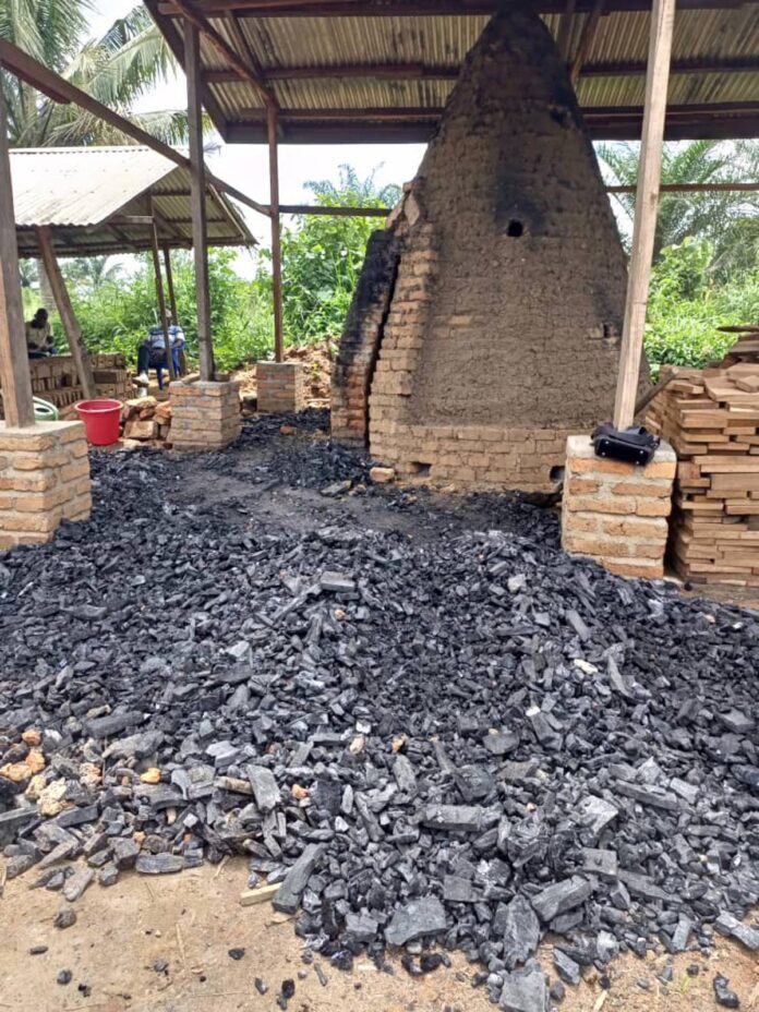 Charbon vert en Tshopo : l'espoir contre la déforestation en RDC