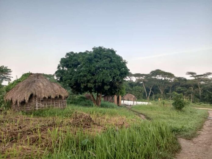 Kasaï-Central : La paix renaît entre Aka Ntanda et Tshina Kazanga après une décennie de guerre foncière