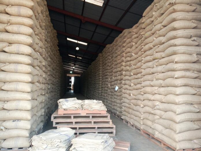 Insécurité à Beni: Des bandits armés pillent des dépôts de cacao à Cantine