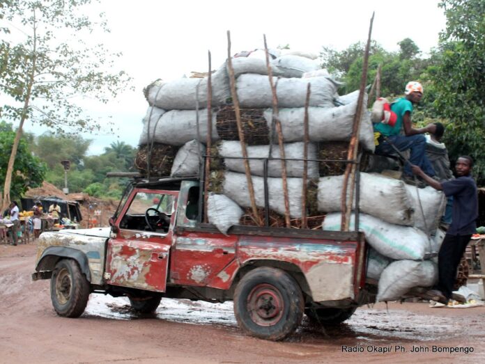 Virunga sous pression : l'ICCN déclare la guerre au bois illégal, les populations en colère