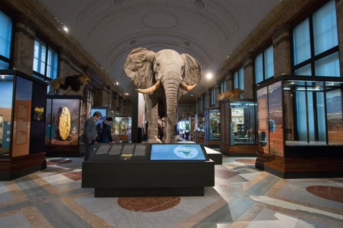Archives géologiques RDC : le Musée de Tervuren dit non à une firme américaine