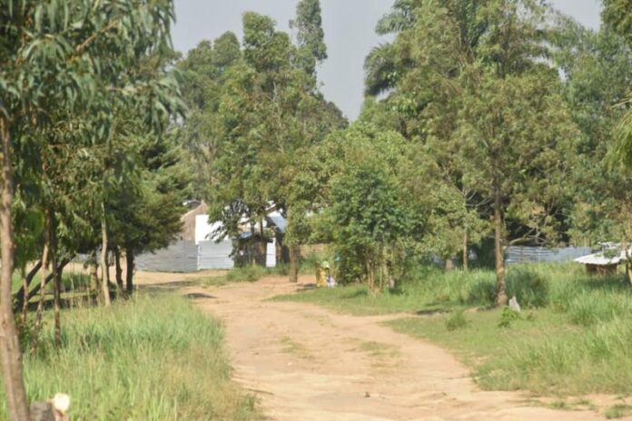 ADF Ituri : l'économie de l'Irumu étranglée par la terreur