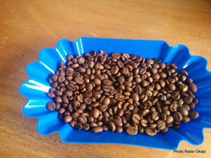 Café robusta : l'Université de Kindu sème les graines de la relance économique au Maniema