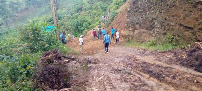 Crise alimentaire à Kalehe : le grenier du Sud-Kivu asphyxié par les intempéries