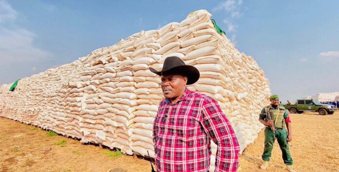 RDC : La récolte de maïs du Service national explose à 40 000 tonnes, un coup de force agricole